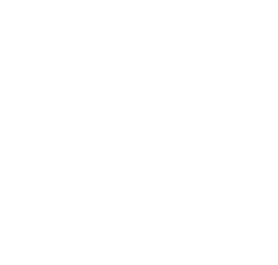 itc leiden logo afbeelding